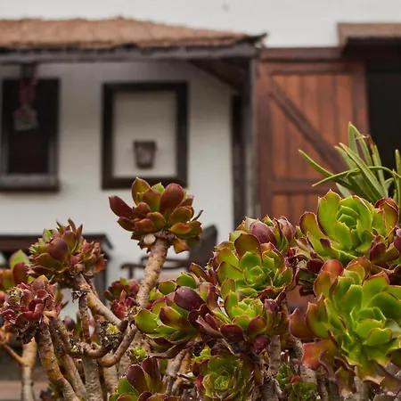 Casitas Masdache Apartment