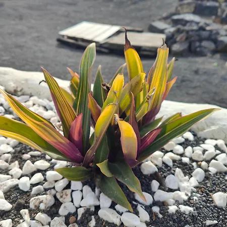 Apartman Casitas Masdache *